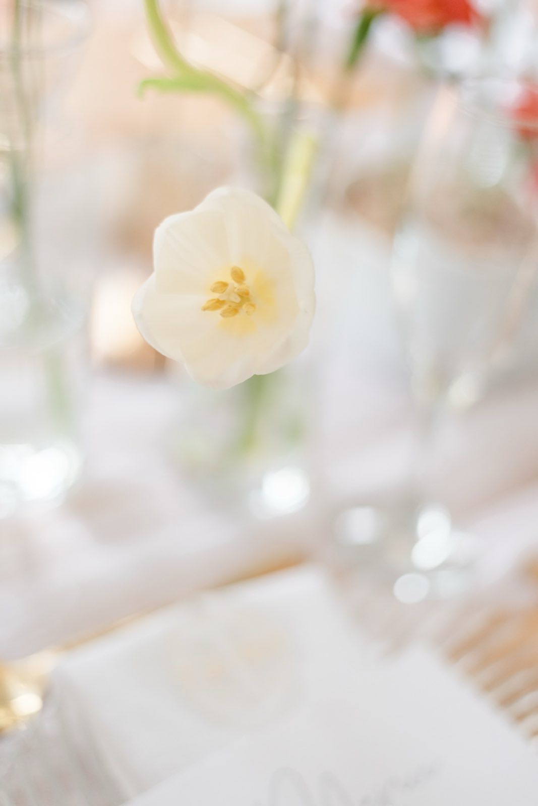 Willow Road wedding photograph 19