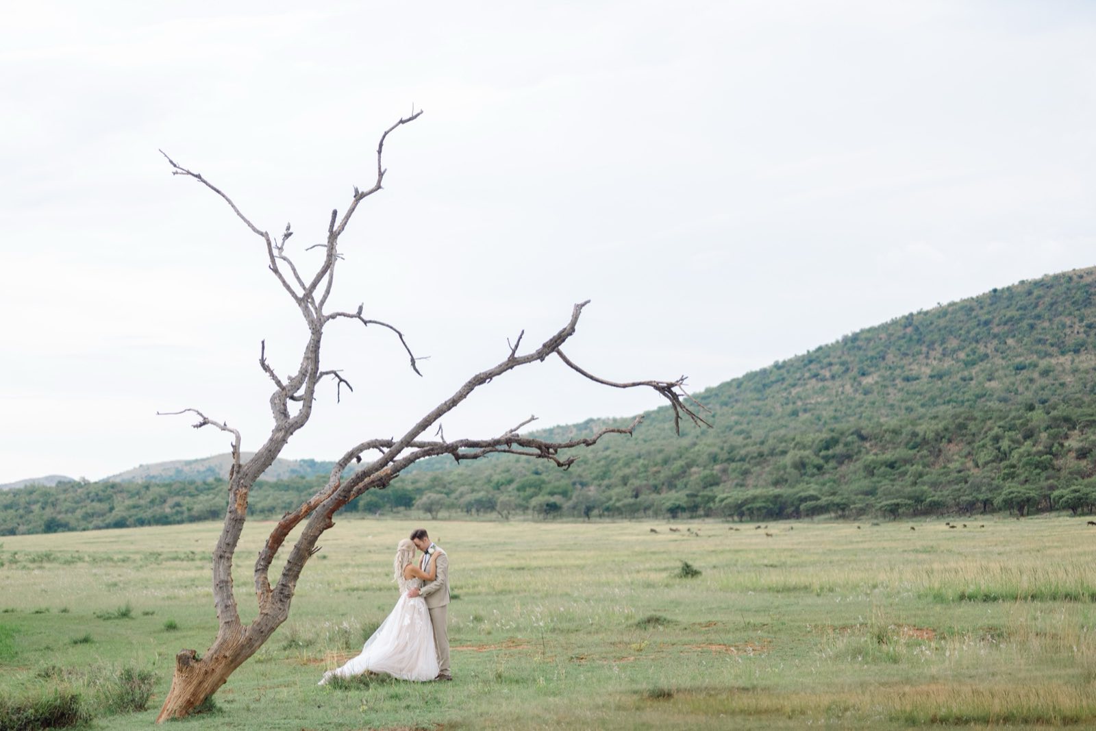 Willow Road wedding photograph 48
