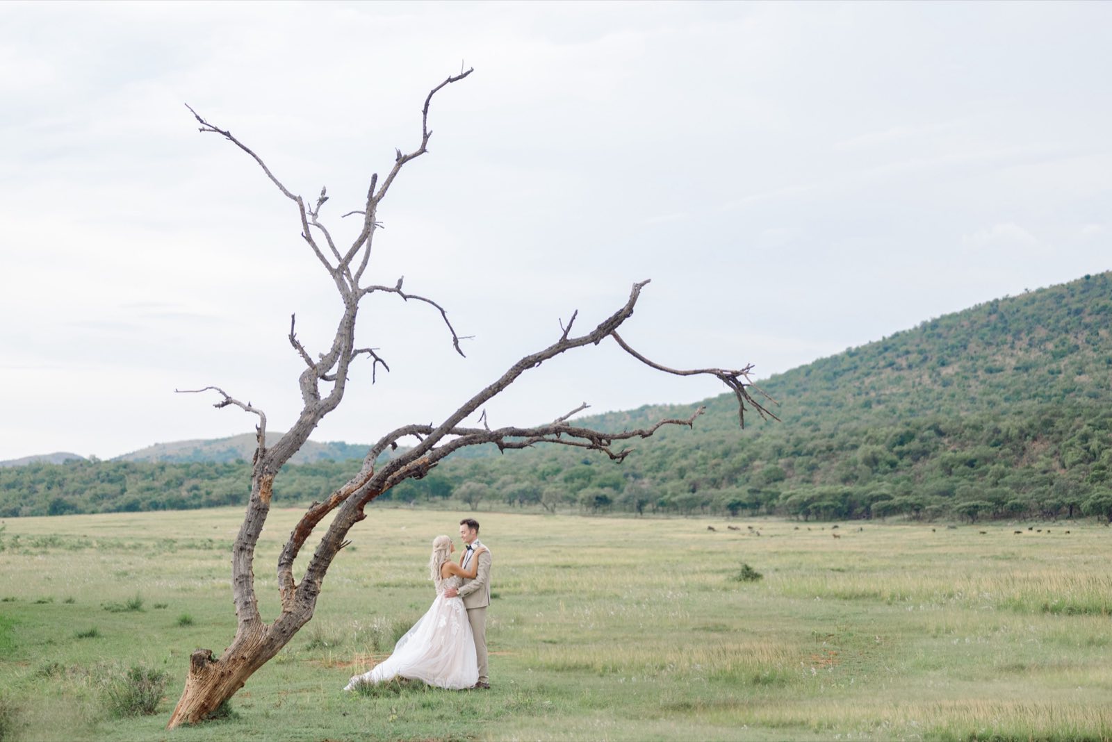 Willow Road wedding photograph 49