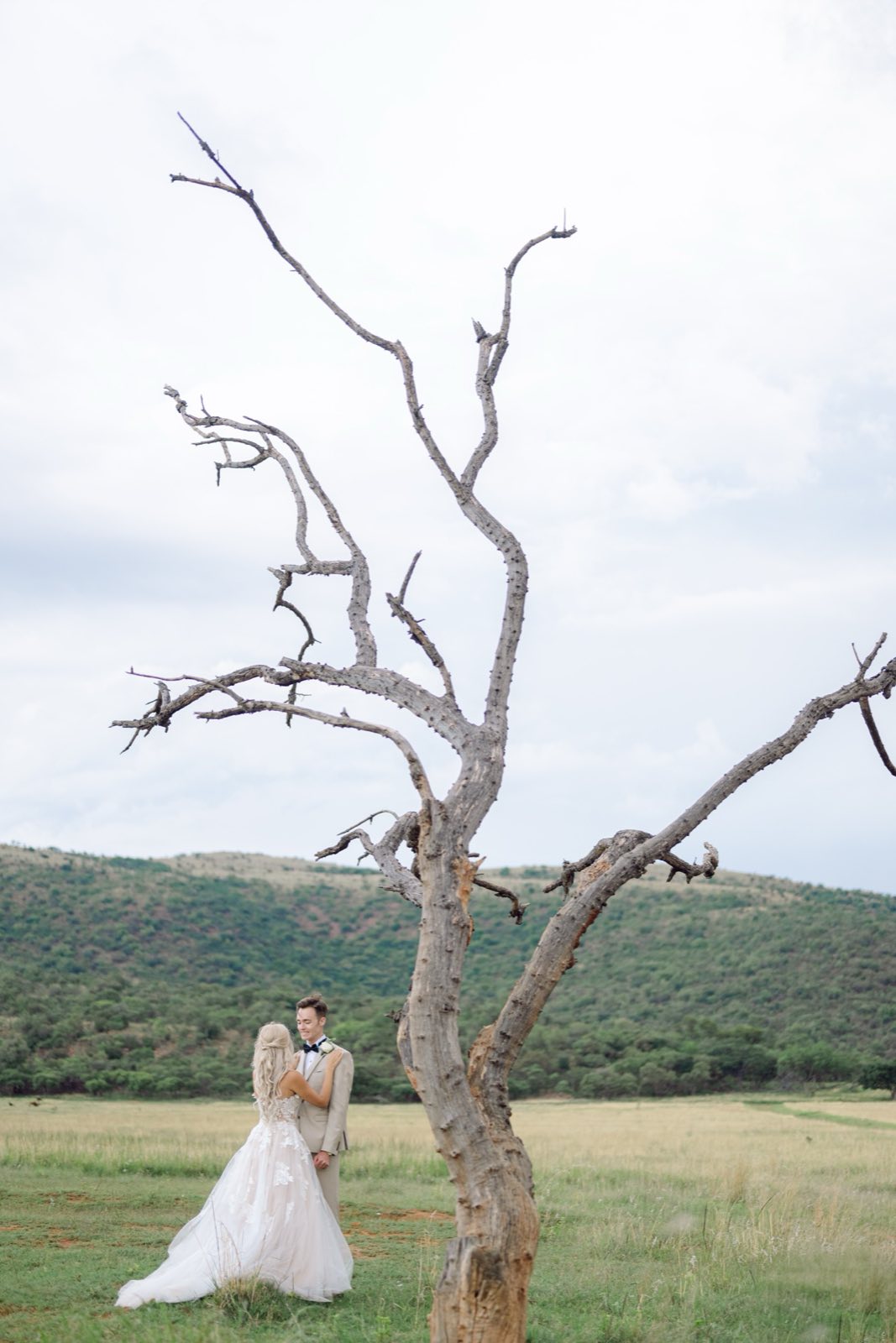 Willow Road wedding photograph 442