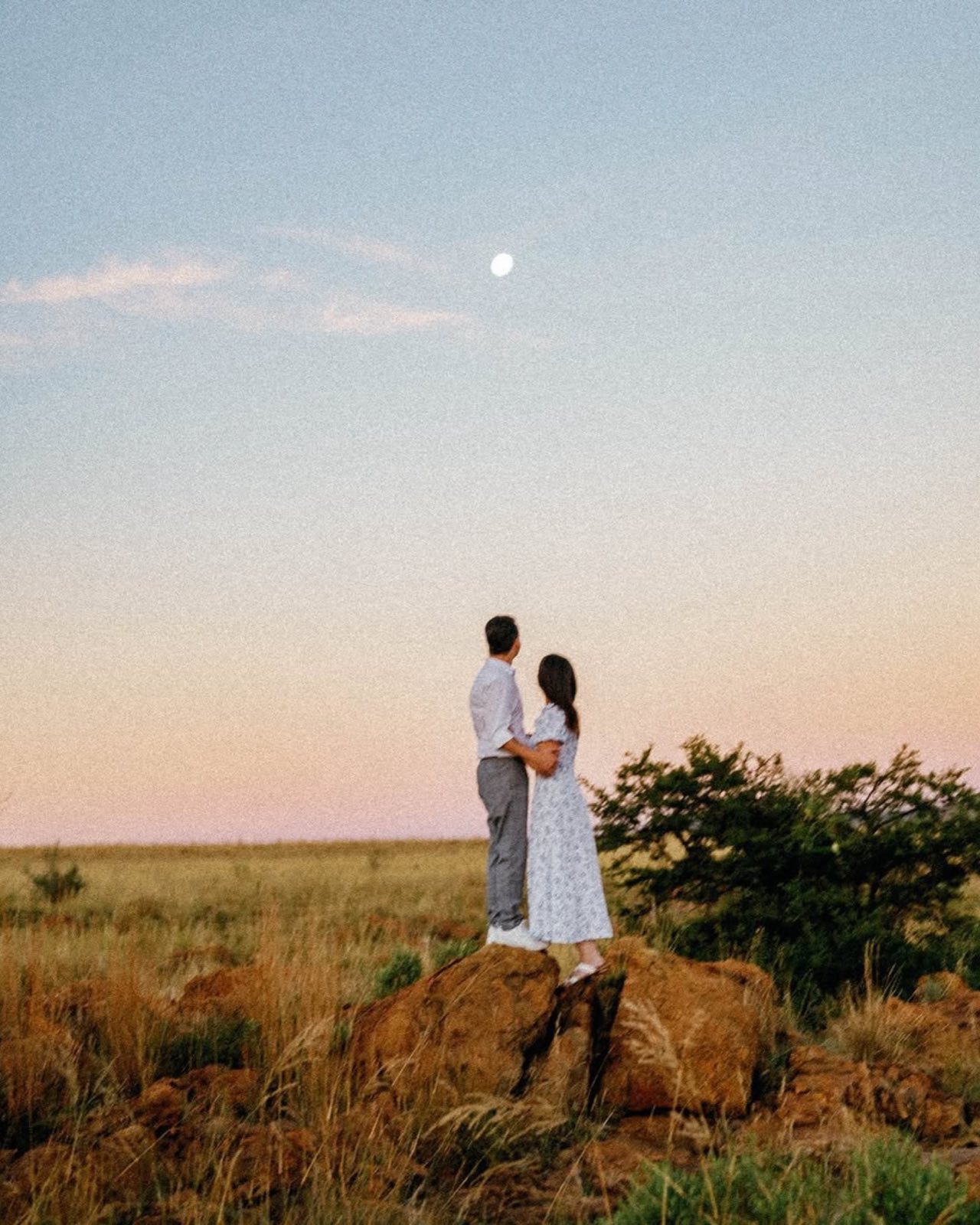Willow Road wedding photograph 463