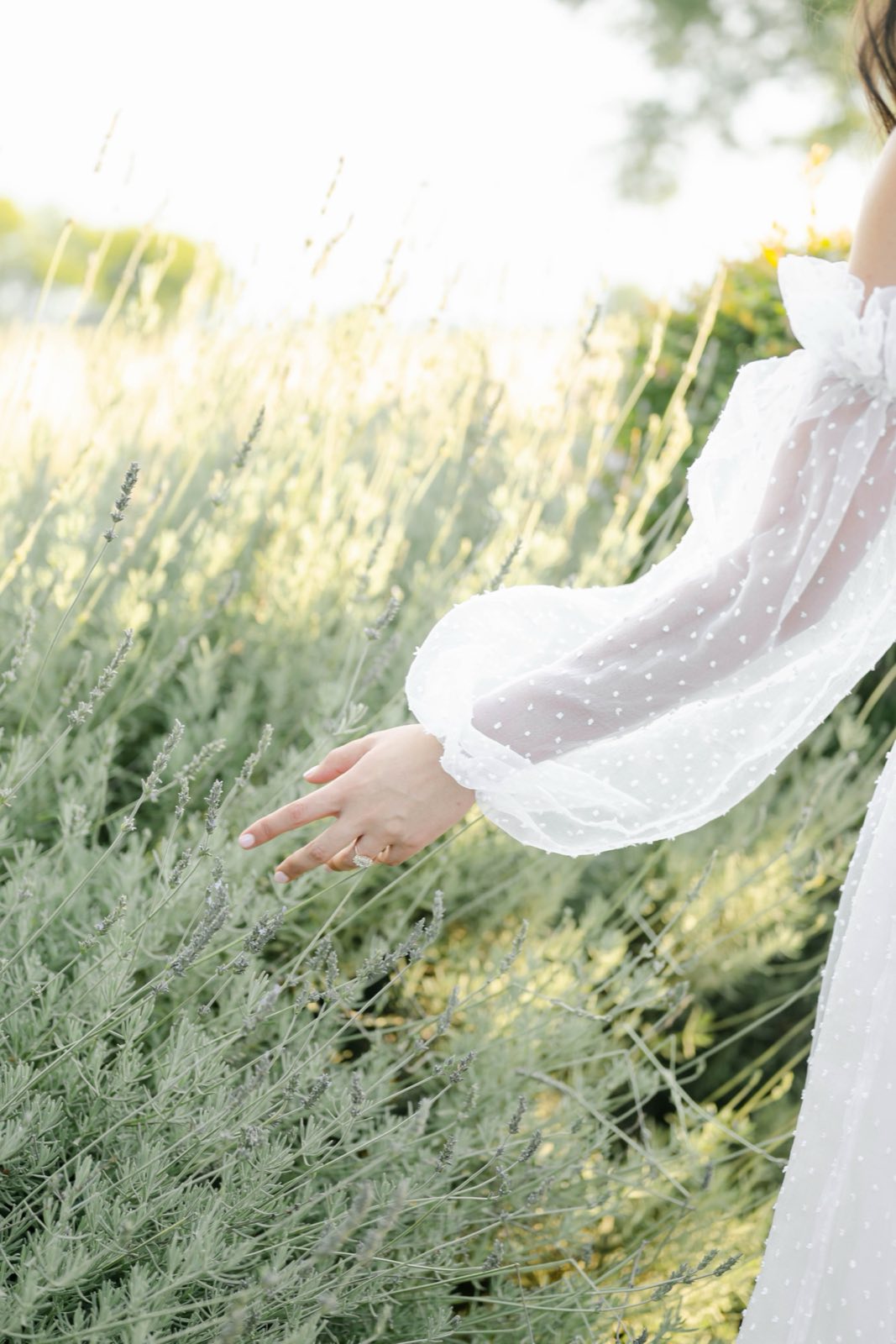 Willow Road wedding photograph 493